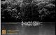 Vista previa 