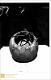 Vista previa 